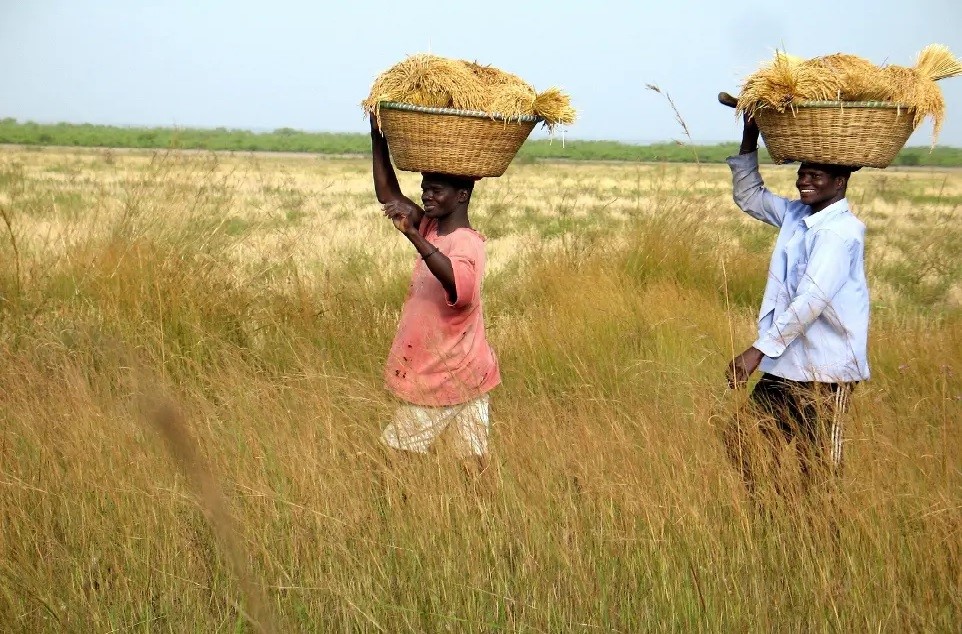 Casamance Sénégal